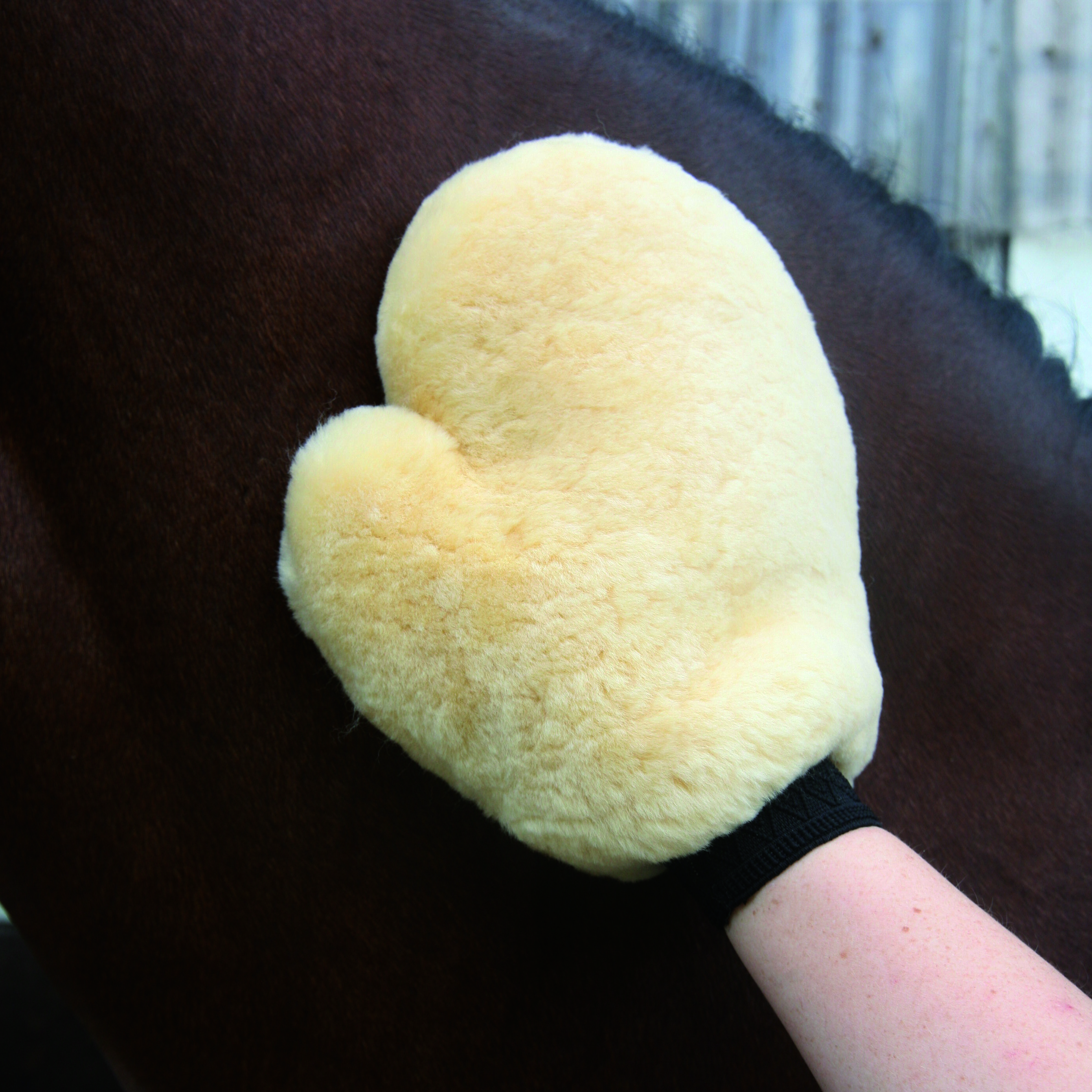 Waldhausen Poetshandschoen Bont - 4.5x16.5x26.5 cm