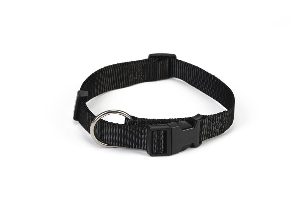 Beeztees - Halsband Hond - zwart - 30 tot 45 cm Beeztees - Halsband Hond - zwart - 30 tot 45 cm