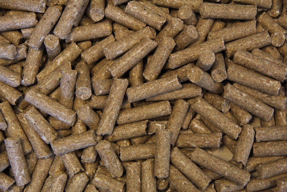 Voermeesters Sport Torso - Sport/ Prestatie - 20 Kilogram - Zak