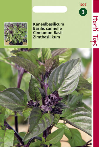 Hortitops Basilicum Ocimum basilicum purpurascens Kaneelsmaak - Kruidenzaden