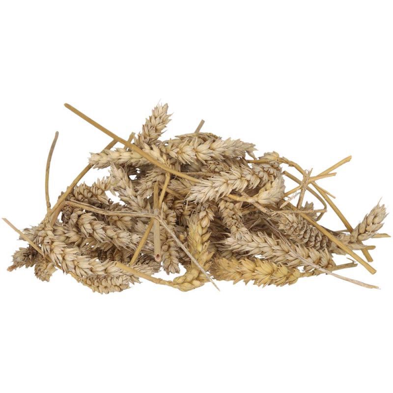 Welkoop Tarwe aren - Kippensnack - 800 Gram