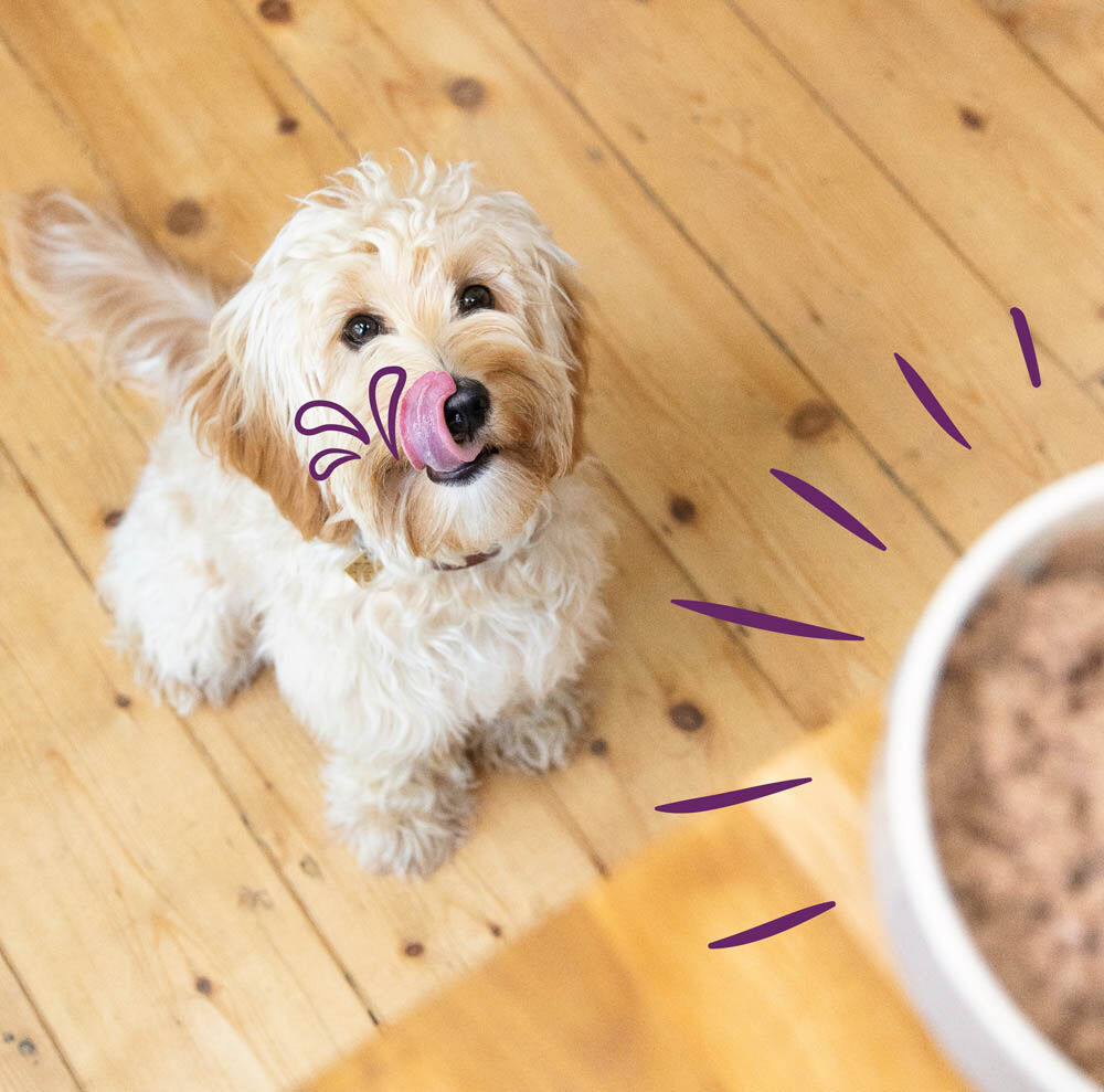 Edgard & Cooper Adult Multipack - Hondenvoer - 6x100 gram - 100 Gram - lam, kip, hert