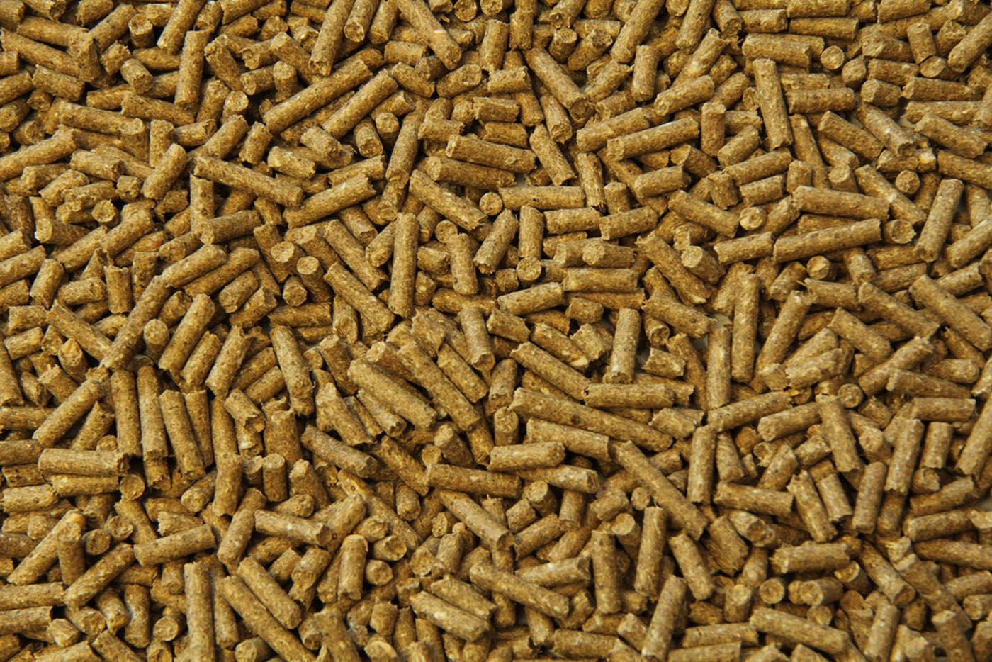 Subli Sport/ prestatie Brok - Paardenvoer - 20 Kilogram - Zak