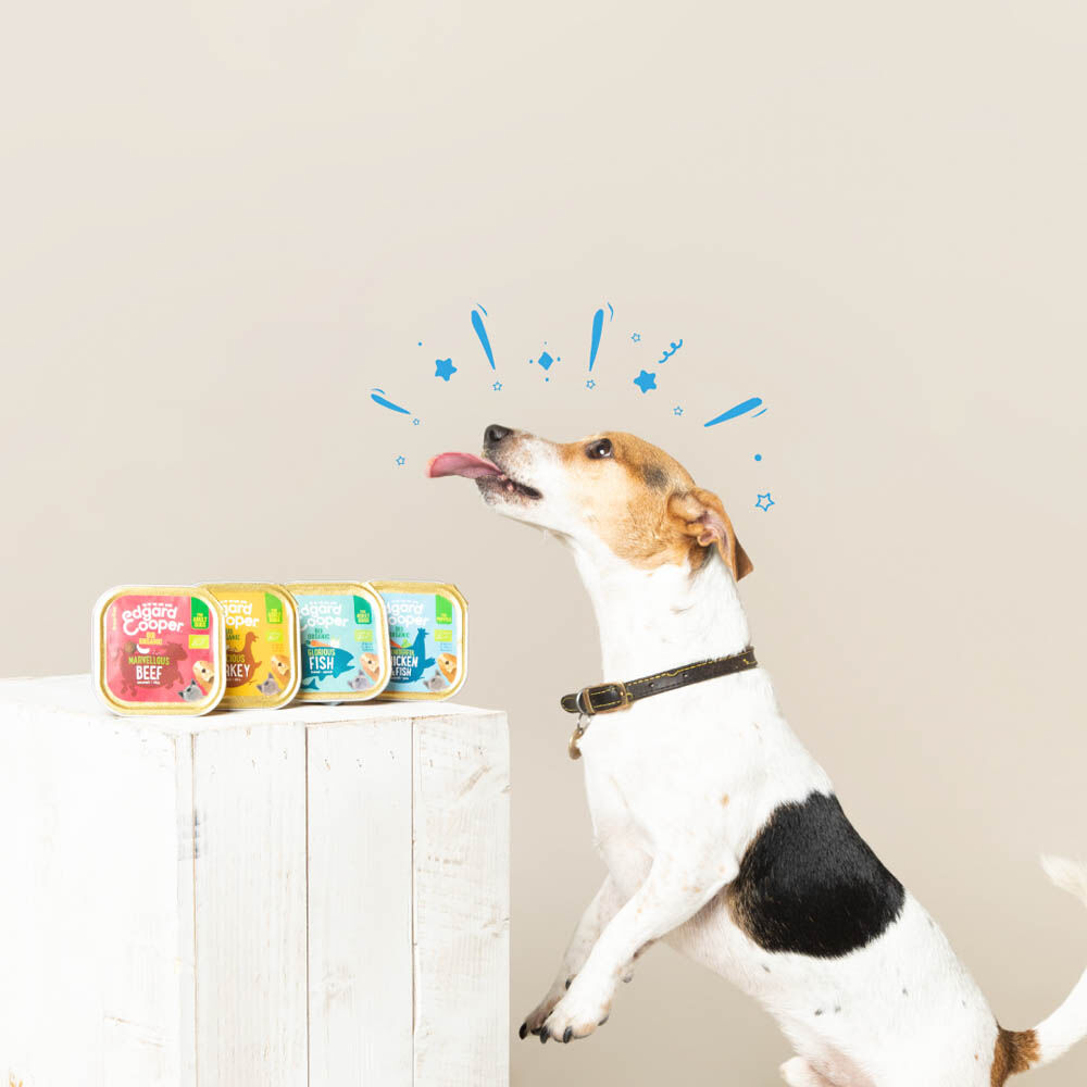 Edgard & Cooper Adult Biologisch - Hondenvoer - 100 Gram - vis