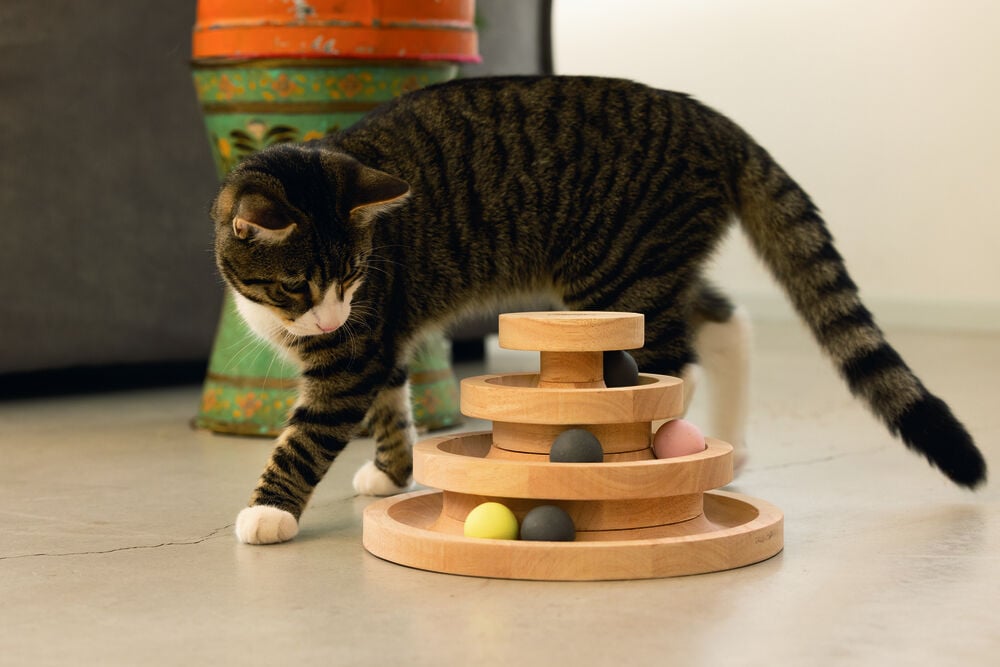 Designed By Lotte Speeltoren Mia - Kattenspeeltje - Naturel - 26x26x14.5 cm