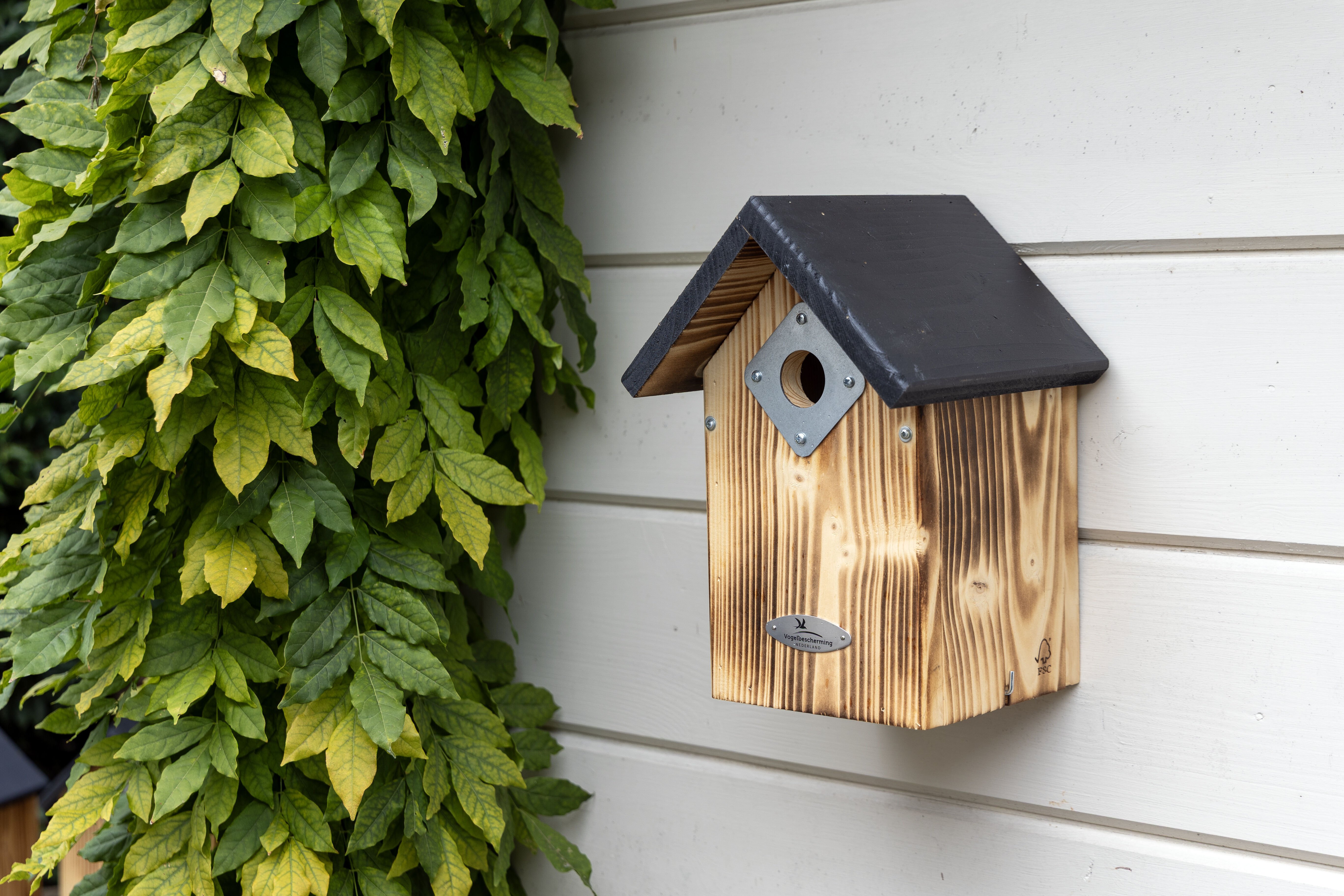 Vogelbescherming - Paso - Nestkast - Bruin, Zwart