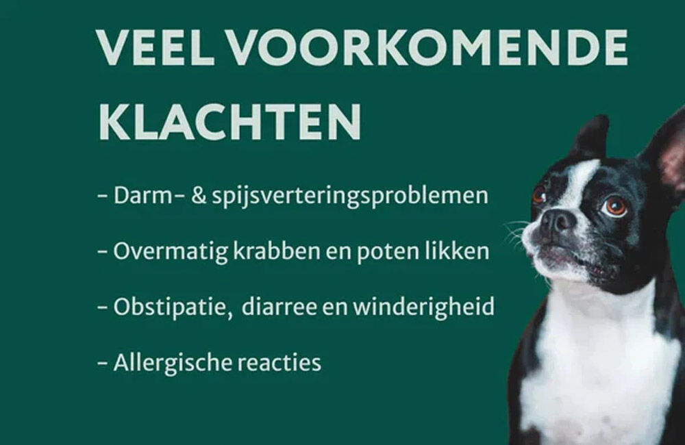 Dogsuppy Probiotica Forte poeder - Spijsvertering en darmflora - 180 Gram