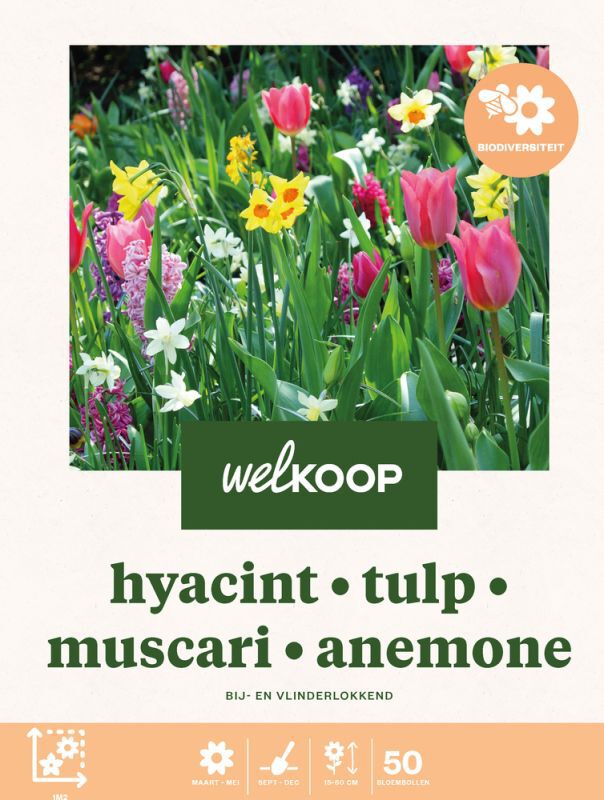 Welkoop Hyacint Tulp Narcis Blauwe druifjes - Biodiversiteit - Bloembollen