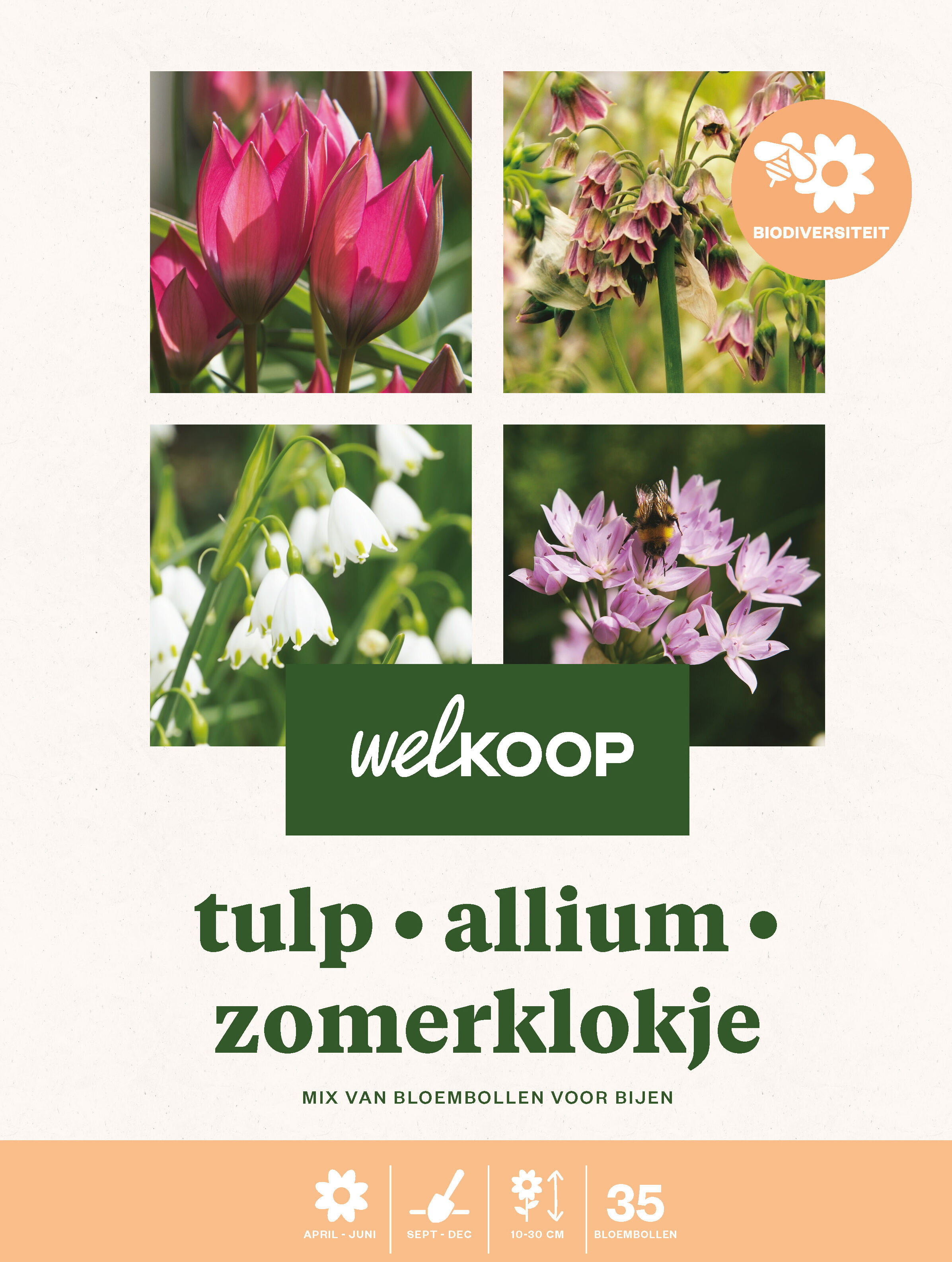 Welkoop Tulp Allium Zomerklokje - Biodiversiteit - Bloembollen
