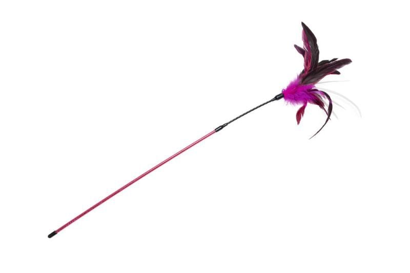 Beeztees Hengel Gekleurde veren - Kattenspeeltje - Multi