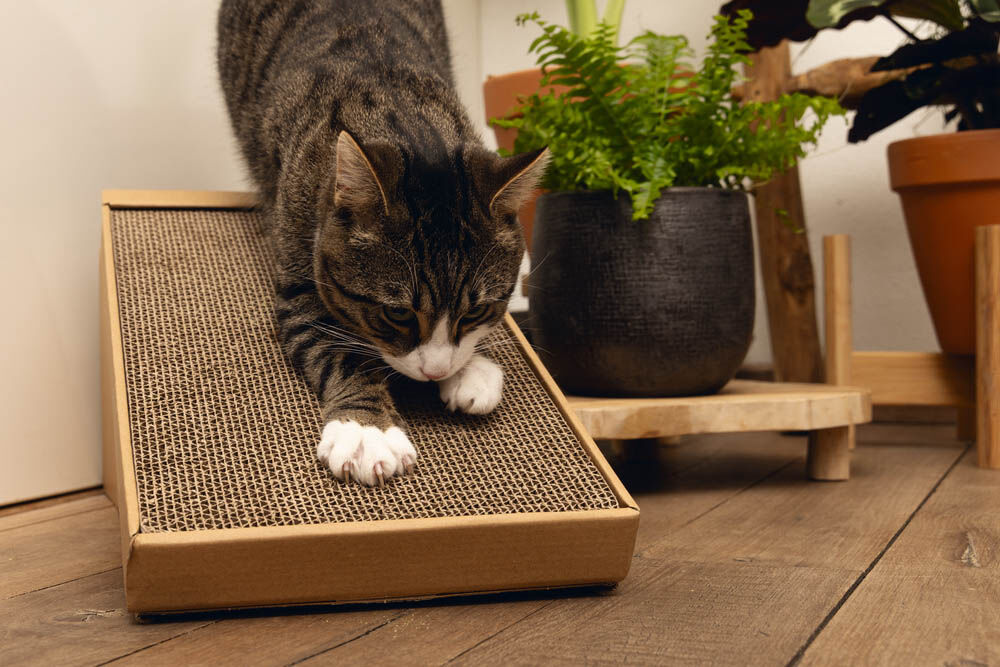 Beeztees Minus One - Krabhelling - Bruin - 49x49x24.5 cm