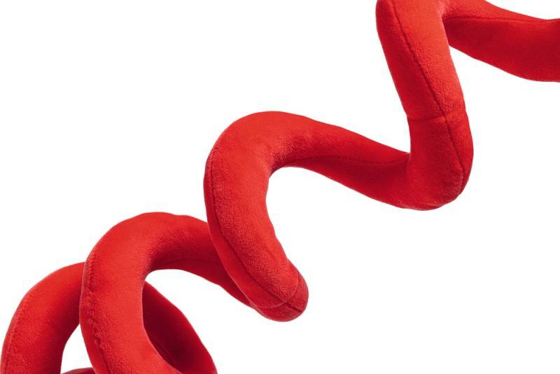 Beeztees Kerstman Spiraal - Knuffel - Hondenspeelgoed - Rood