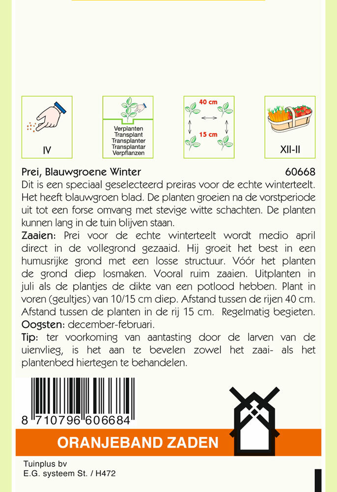 Oranjeband zaden Prei Blauwgroene Winter - Groentezaden