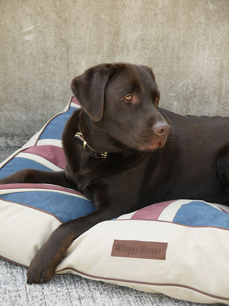 Happy-House Blokkussen Vlag - Hondenkussen - blauw - 15x80x125 cm - L