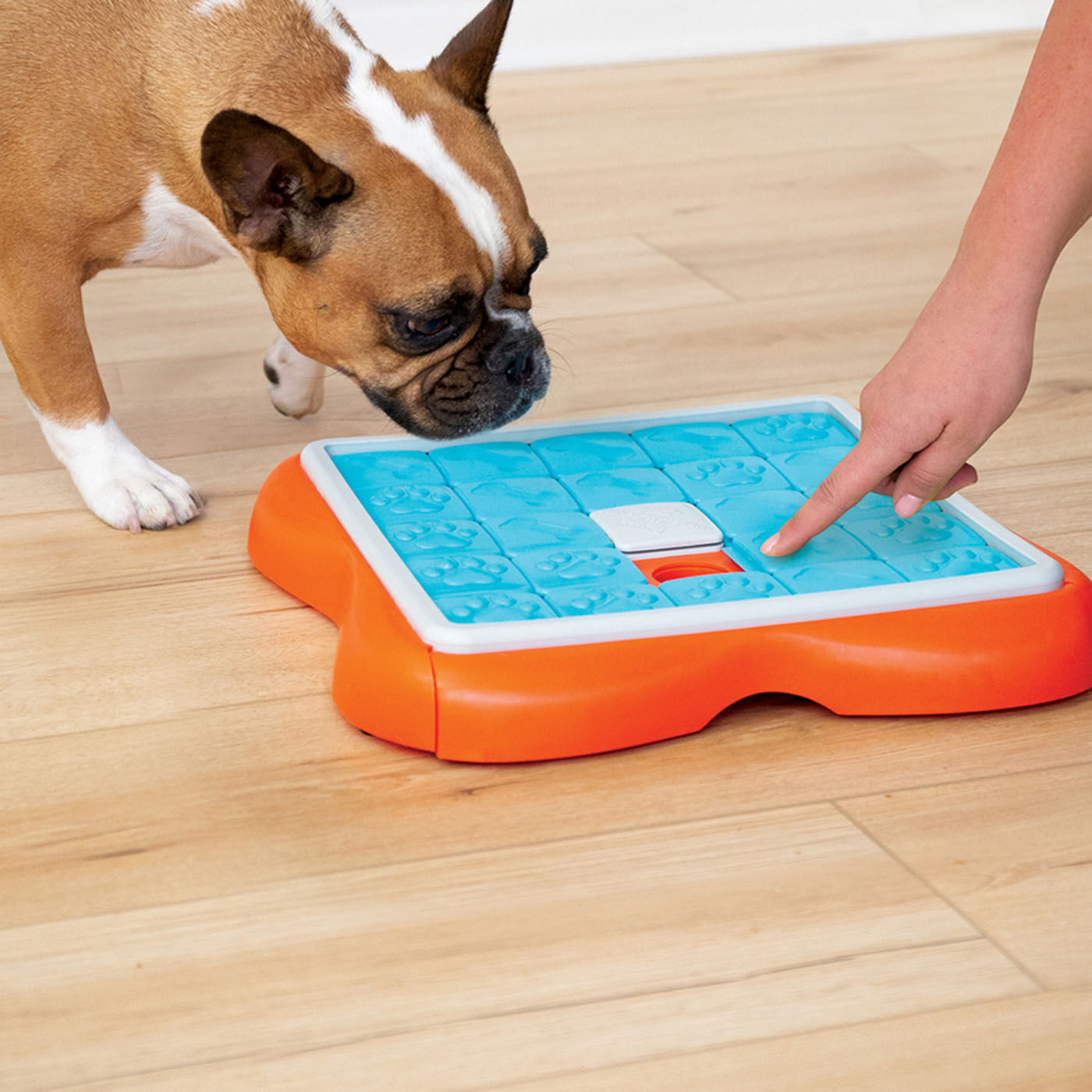 Nina Ottosson Challenge Slider - Puzzel - Hondenspeelgoed - Blauw / Oranje - 5.9x37.9x37.9 cm