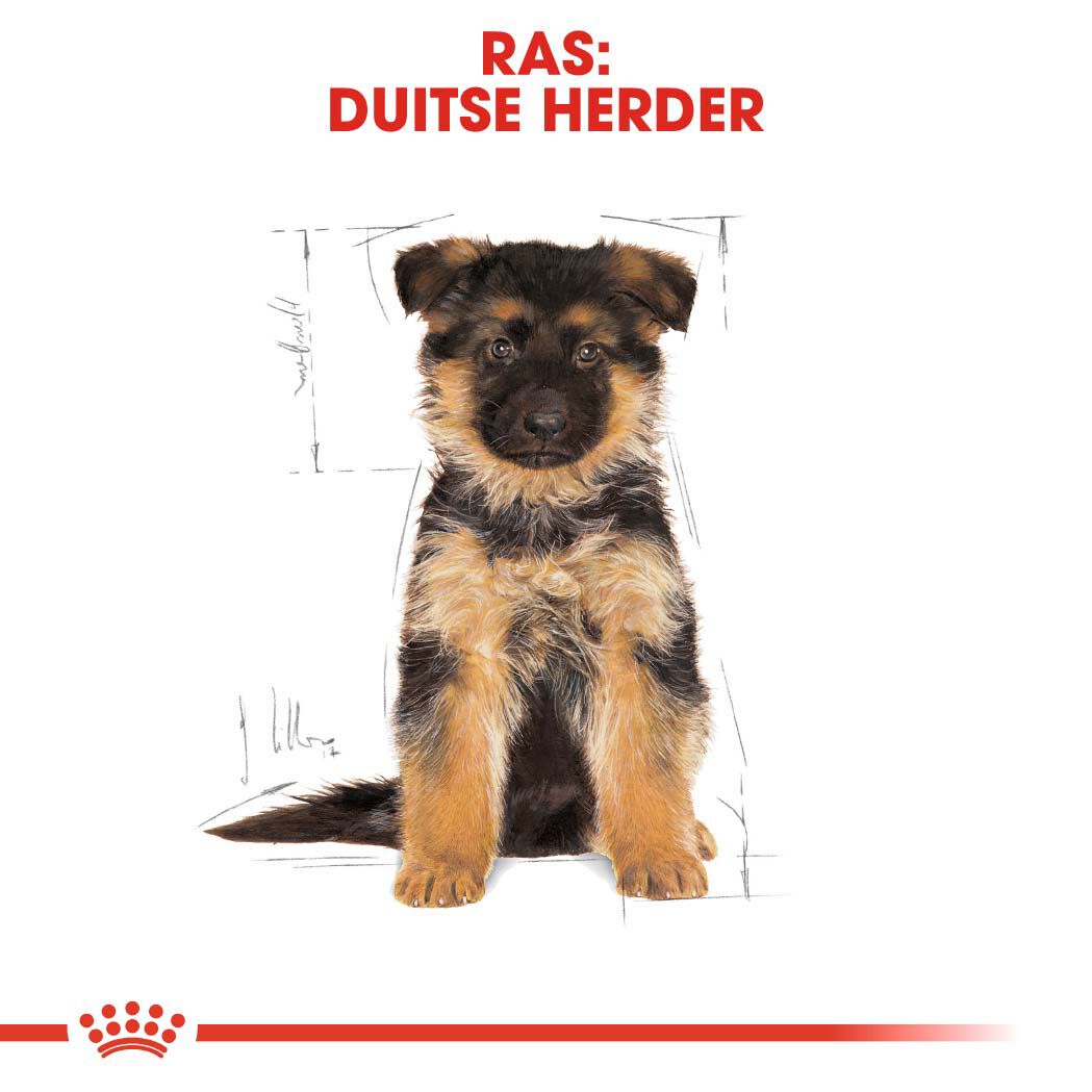 Royal Canin Duitse Herder Puppy - Hondenvoer - 12 Kilogram - gevogelte