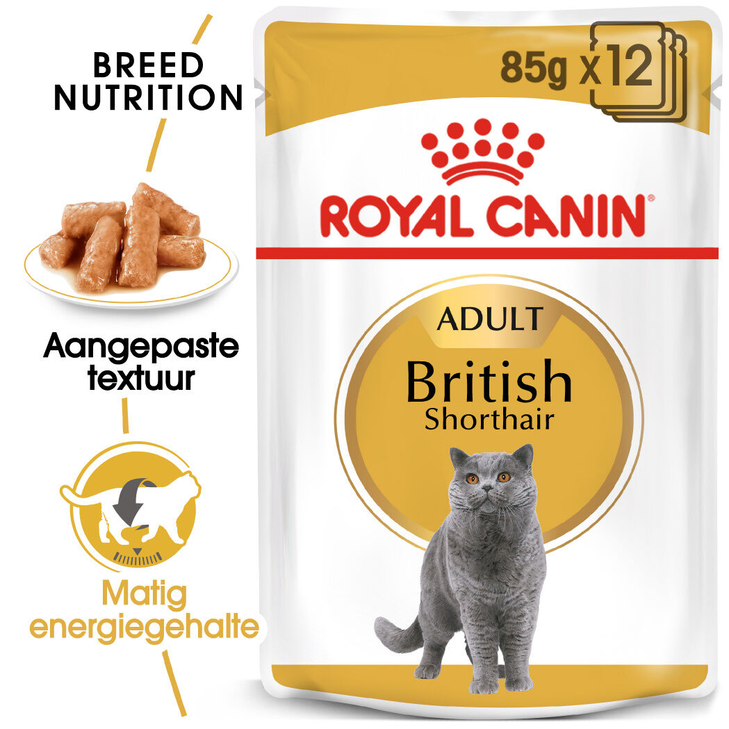 Royal Canin British Shorthair Adult Pouch - Kattenvoer - 1020 Gram