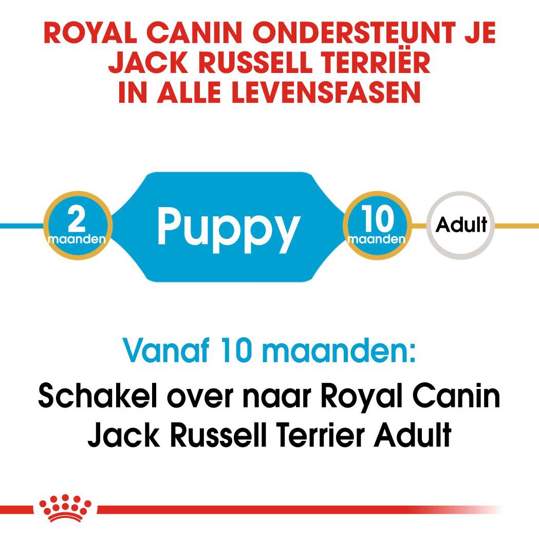 Royal Canin Jack Russell Terrier Junior - Hondenvoer - 3 Kilogram - gevogelte
