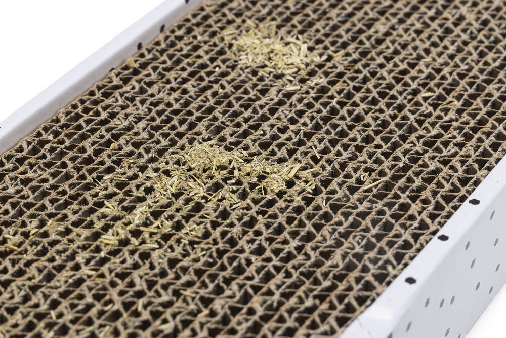 Beeztees Pula - Krabplank - Wit Bruin - 10x47x10 cm