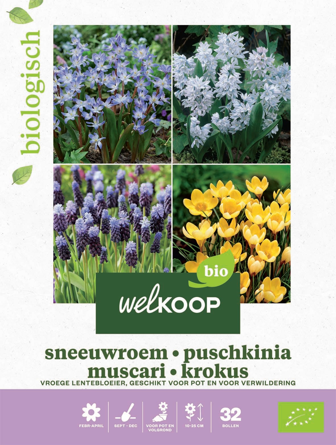 Welkoop Hyacint Sneeuwroem blauwe druifjes krokus Biologisch - Bloembollen Welkoop Hyacint Sneeuwroem blauwe druifjes krokus Biologisch - Bloembollen