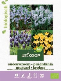 Welkoop Hyacint Sneeuwroem blauwe druifjes krokus Biologisch - Bloembollen