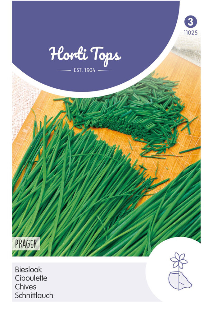 Hortitops Bieslook Allium schoenoprasum Fijne - Kruidenzaden