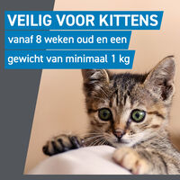 Frontline Spot On - Vlooien en tekenpipet - 3 pipetten - 3 Stuks