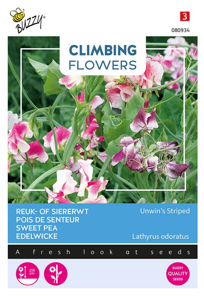 Buzzy Climbers Lathyrus Unwins - Bloemzaden