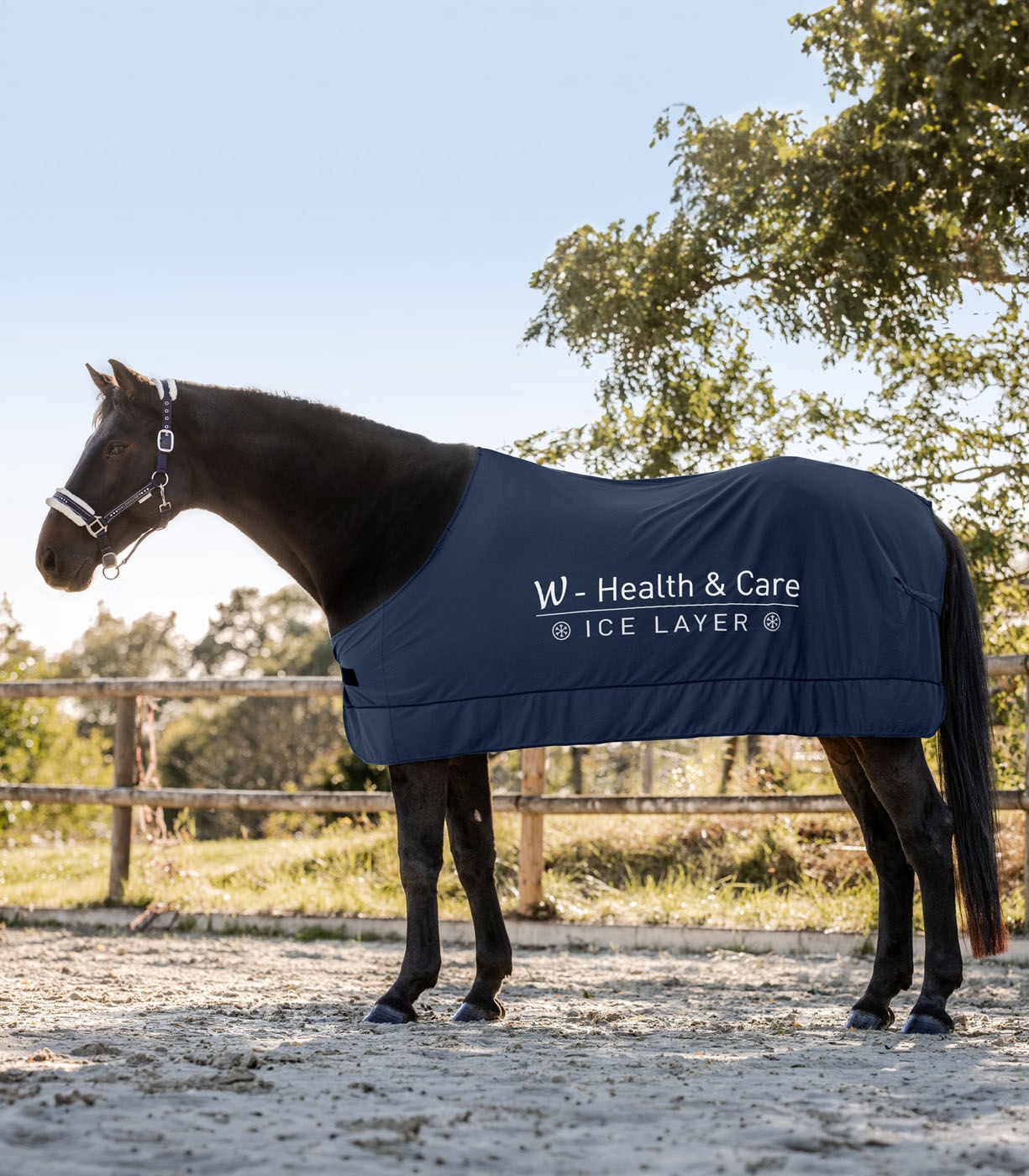 Waldhausen W-Health & Care - Cooler deken - Blauw - 135/185 Waldhausen W-Health & Care - Cooler deken - Blauw - 135/185