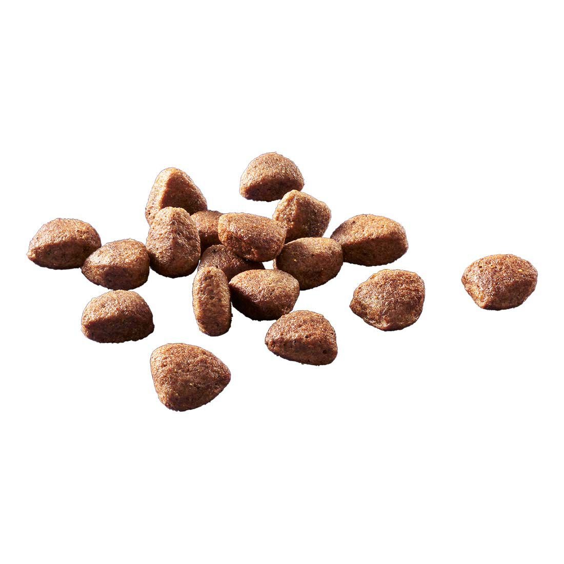 Welkoop Select Adult Krokante brokken - Graanvrij - Hondenvoer - 3 Kilogram - zalm