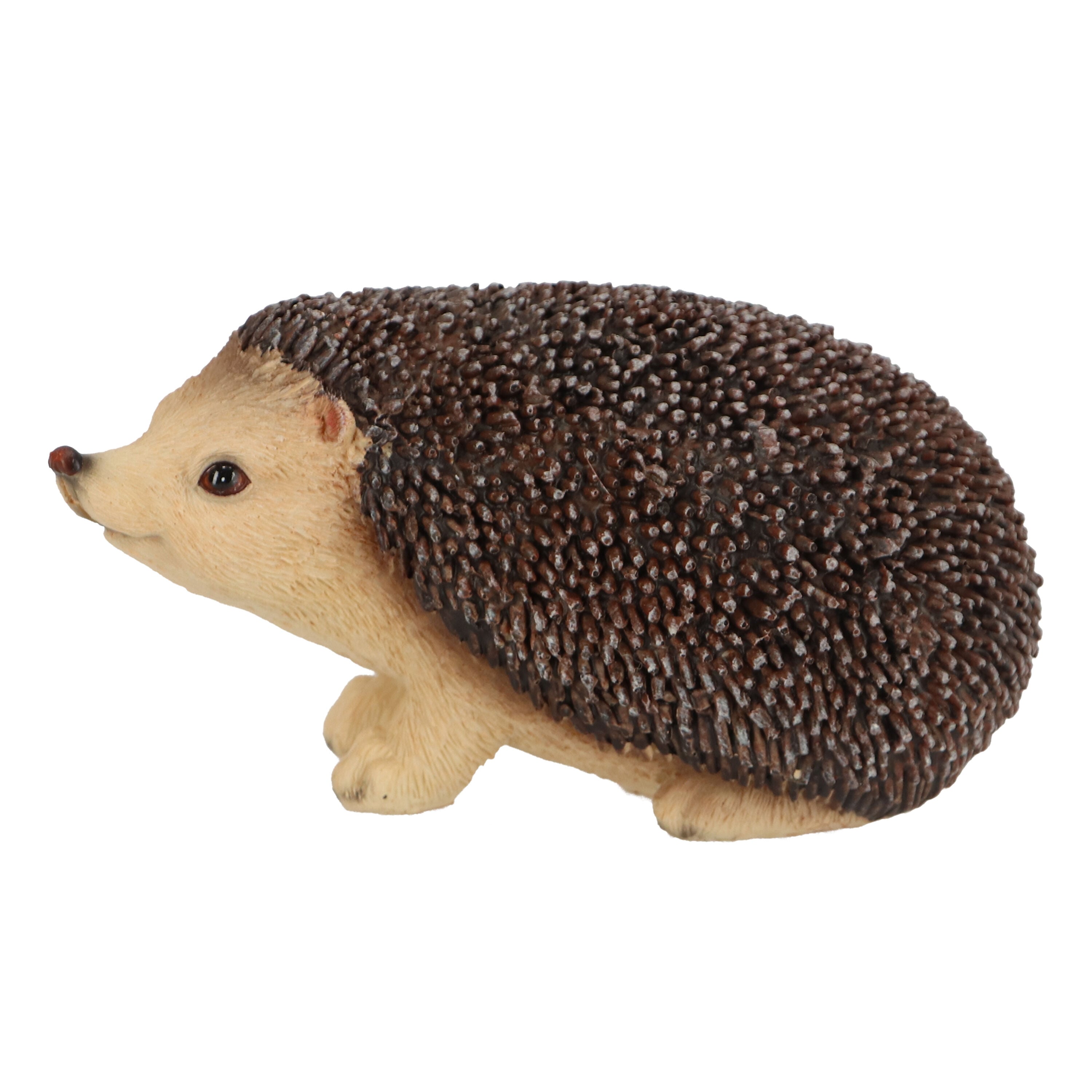 Decoratief Egel - Tuindecoratie - Multi