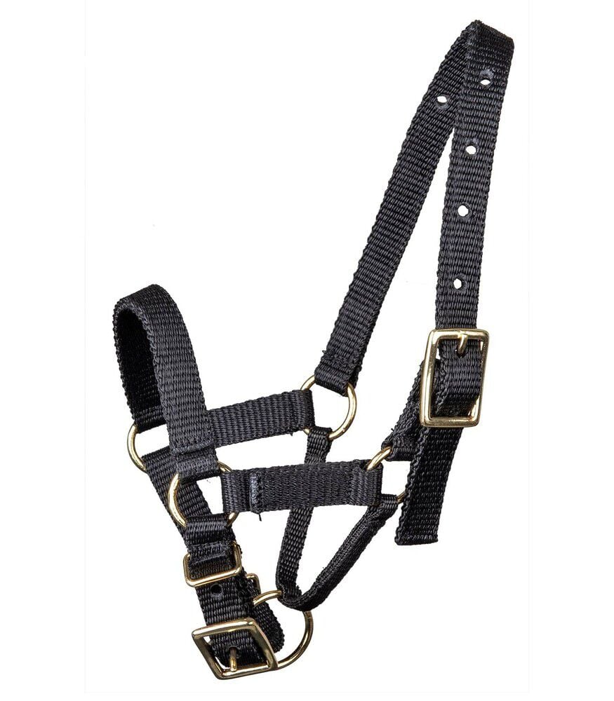 Welkoop - Alpaca halster - Zwart - XS