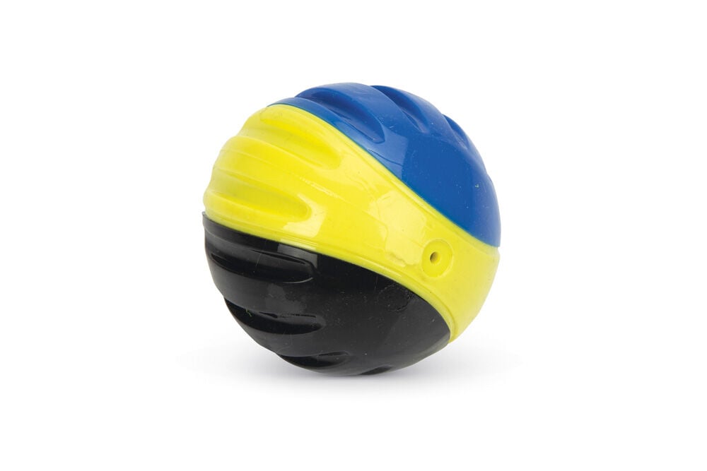 Beeztees Fetch TRP Bal - Hondenspeelgoed