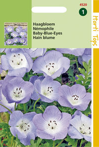 Hortitops Haagbloem - Bloemzaden