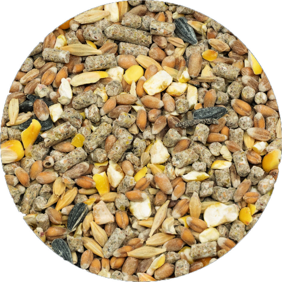 Welkoop Kippenmix - Kippenvoer - 5