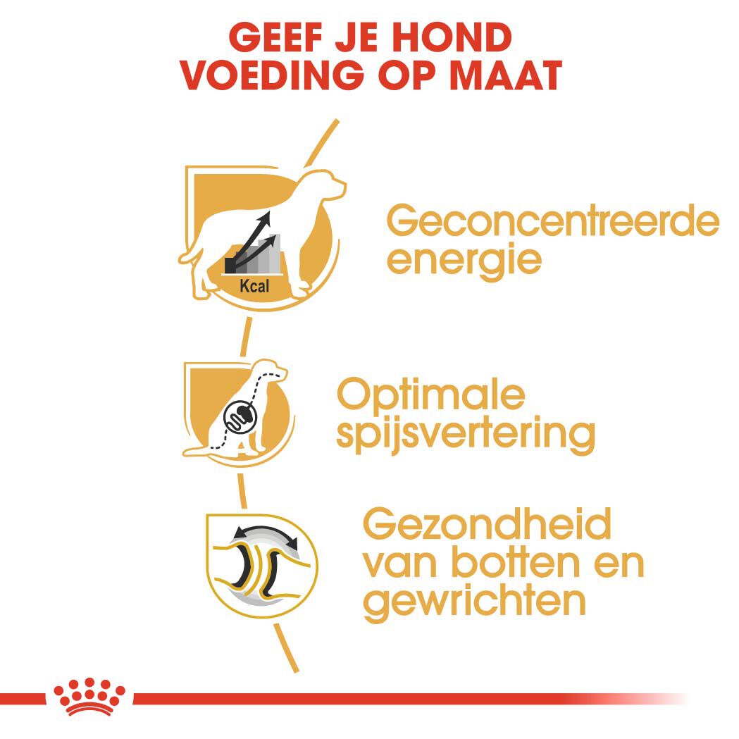 Royal Canin Great Dane Adult - Hondenvoer - 12 - gevogelte