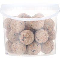 Welkoop - Vetbollen zonder netje in emmer - Tuinvogelvoer - 2.7 Kilogram