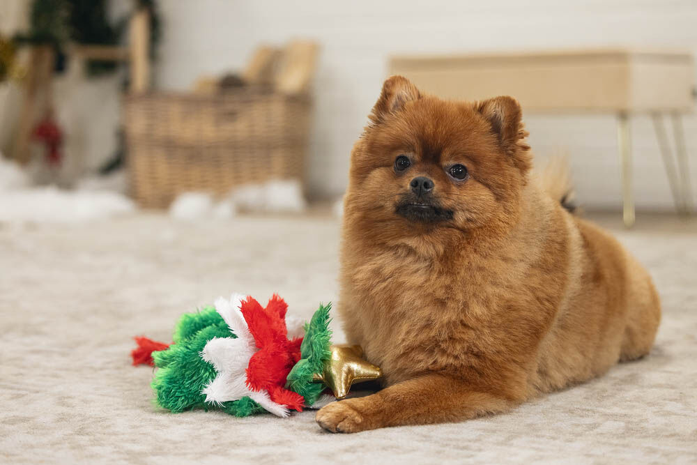 Beeztees Kerstboom - Knuffel - Flowtouw- Kerst Hondenspeelgoed