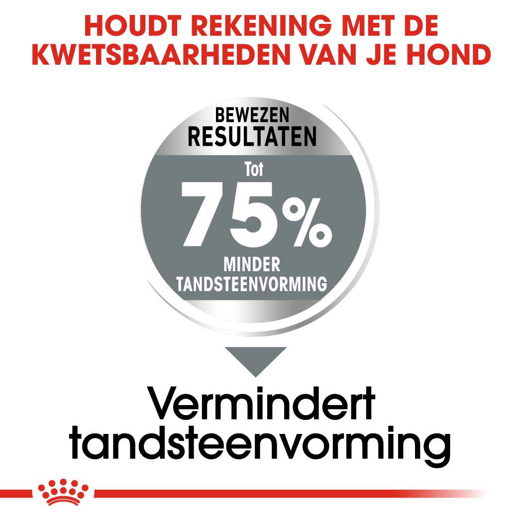 Royal Canin Dental Care Maxi - Hondenvoer - 9 Kilogram - gevogelte