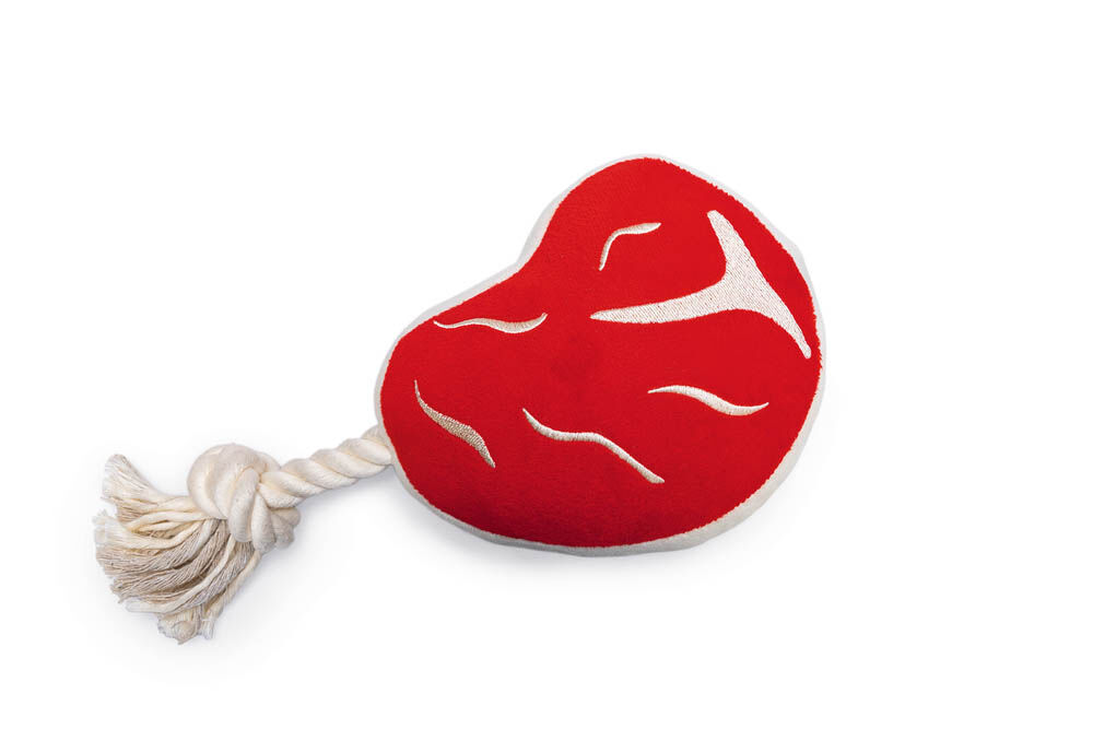 Beeztees Steak met flostouw - Hondenspeelgoed - Rood - 7x13x28 cm