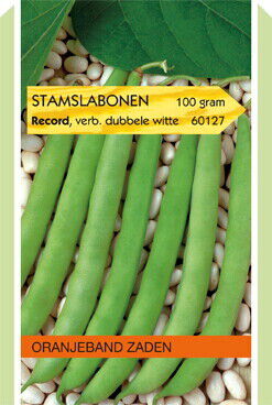 Oranjeband zaden Stamslabonen Record - Groentezaden