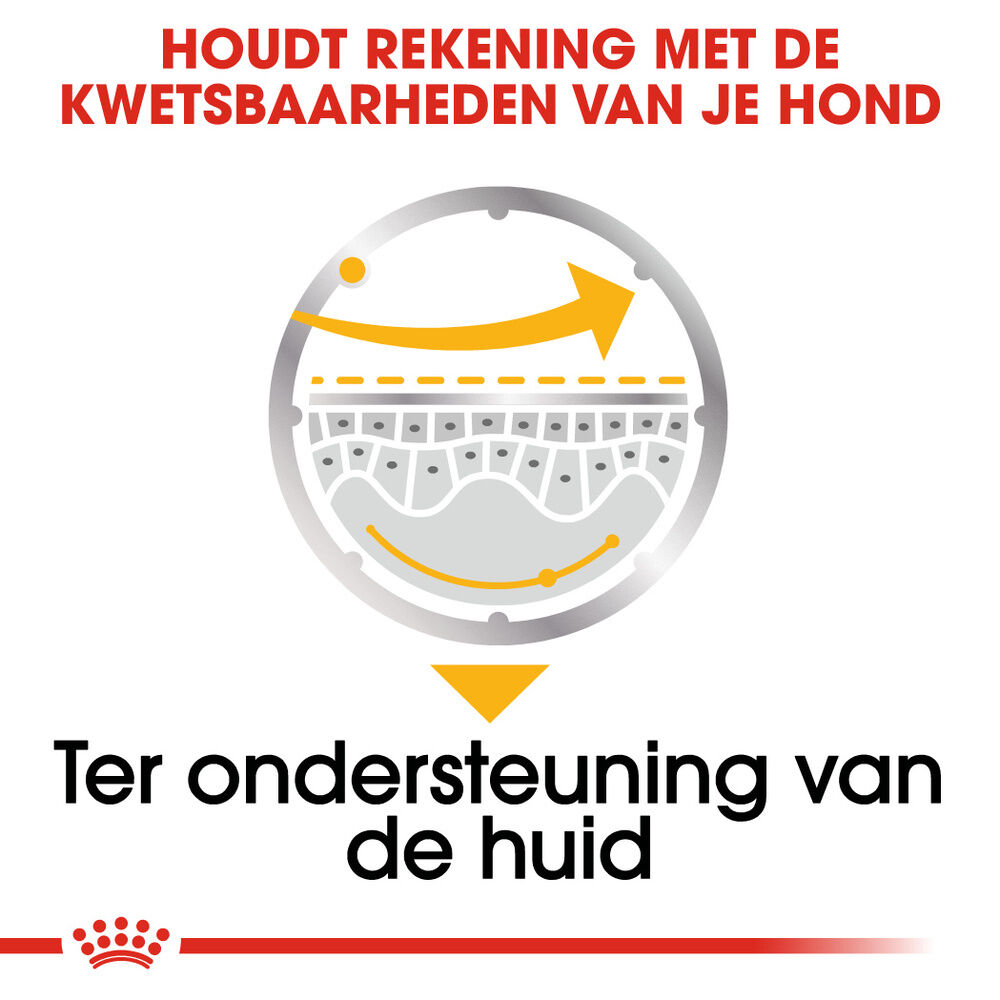 Royal Canin Dermacomfort Wet - Hondenvoer - 12x85 gram - 1020 Gram - gevogelte