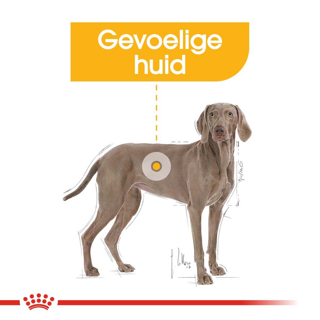 Royal Canin Dermacomfort Maxi Adult - Hondenvoer - 12 Kilogram - gevogelte
