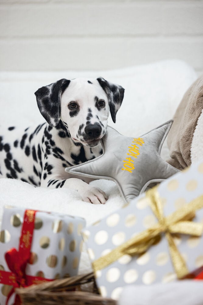 Designed By Lotte Kerstster Knuffel - Hondenspeelgoed - grijs - 29x27x27 cm