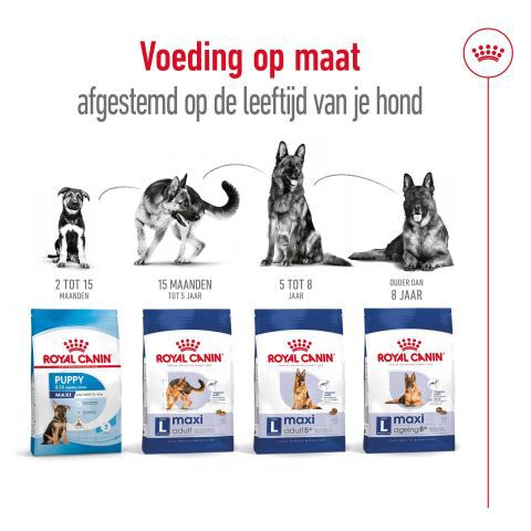 Royal Canin Maxi Adult - Hondenvoer - 12 Kilogram - gevogelte