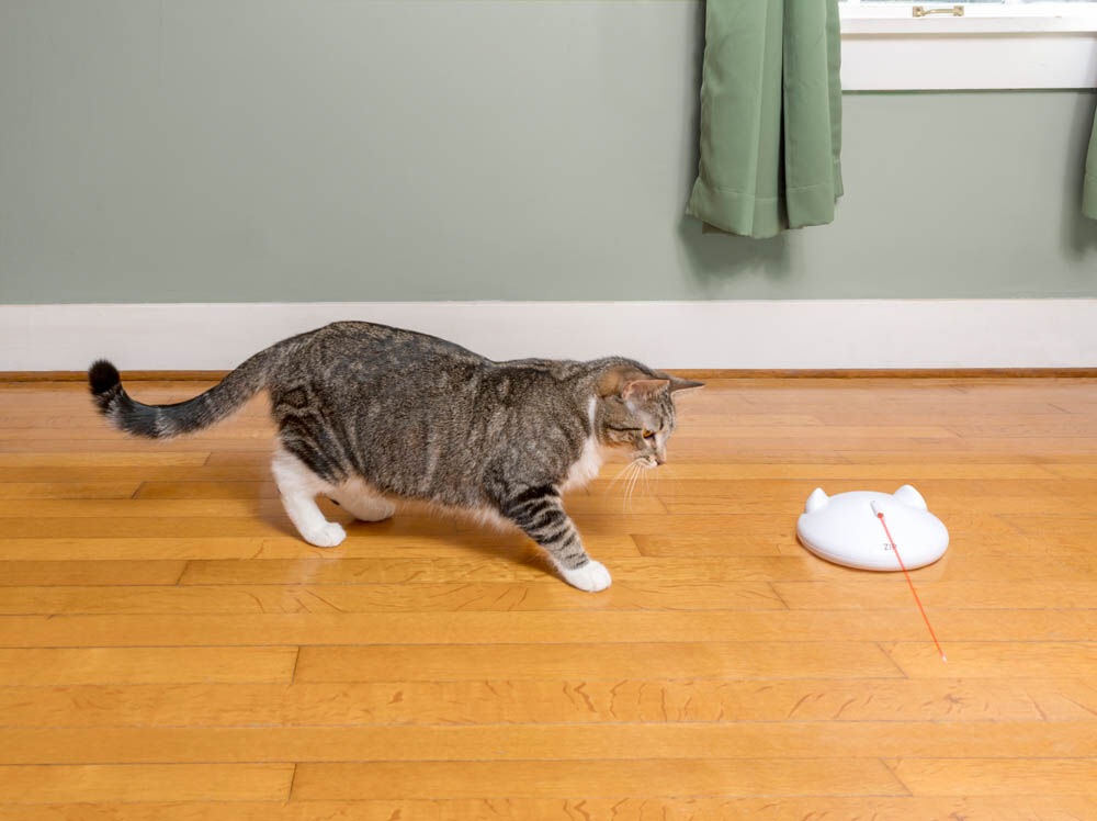 Petsafe Zip Automatic - Laserlamp