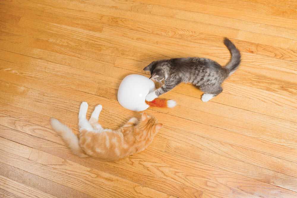 Petsafe Fox Tail - Elektrisch kattenspeelgoed