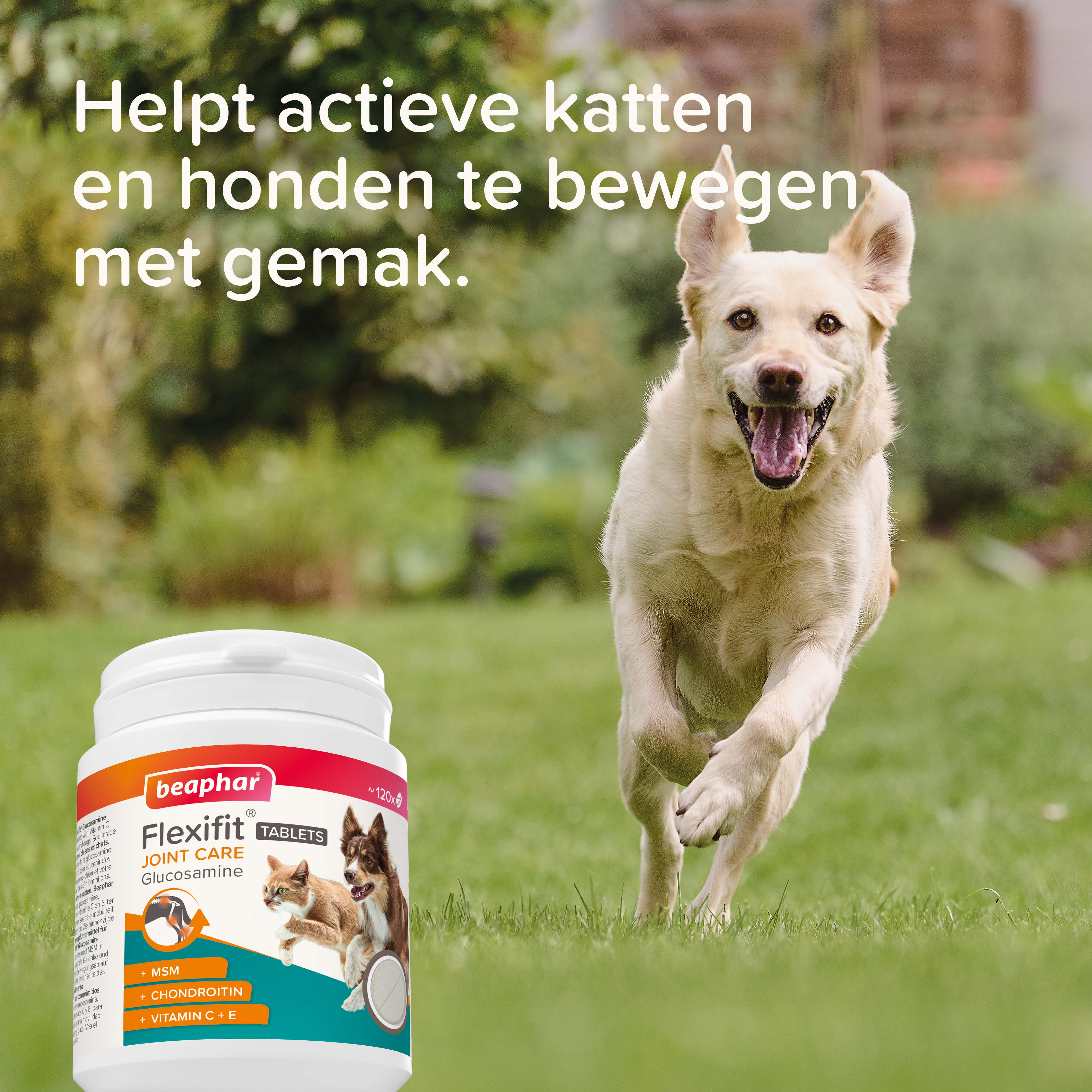 Beaphar Flexifit - Glucosamine tabletten - 120 Stuks
