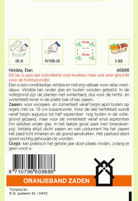 Oranjeband zaden Veldsla Elan - Groentezaden