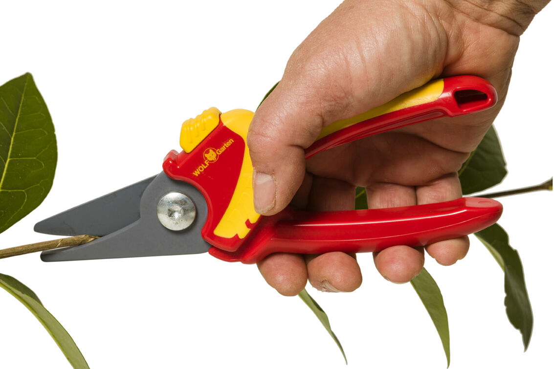 WOLF-Garten RR 1500 Basic Plus - Snoeischaar